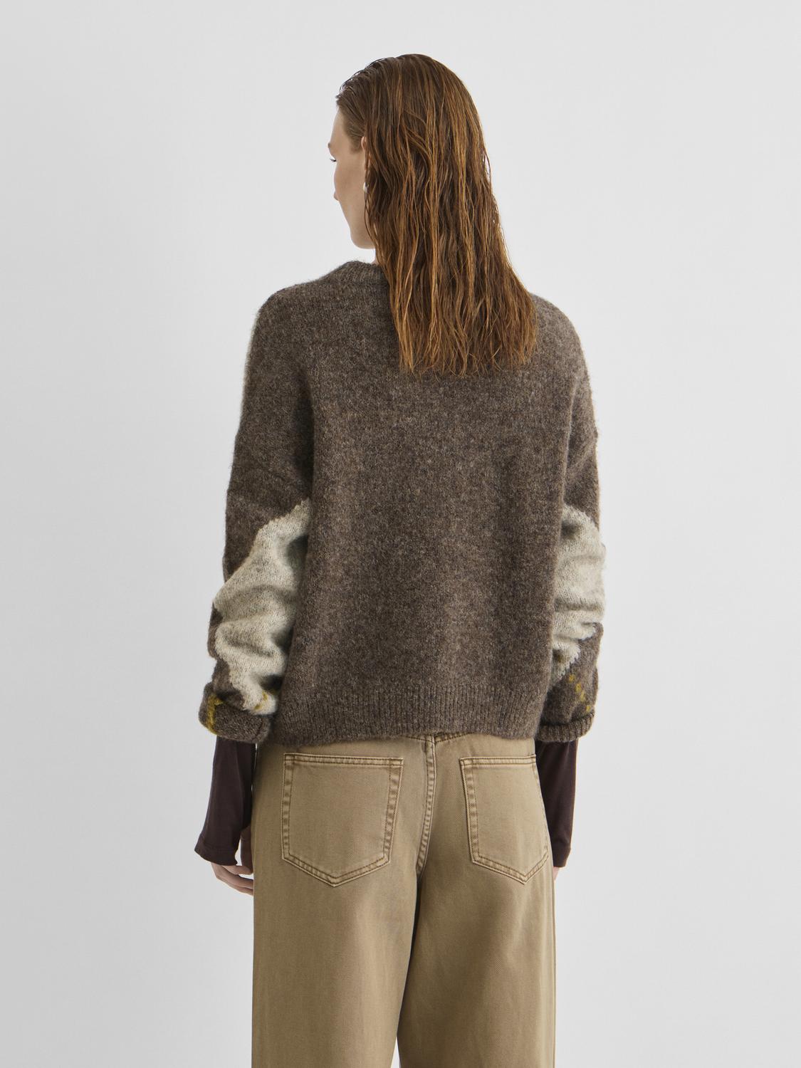 model_shot-back