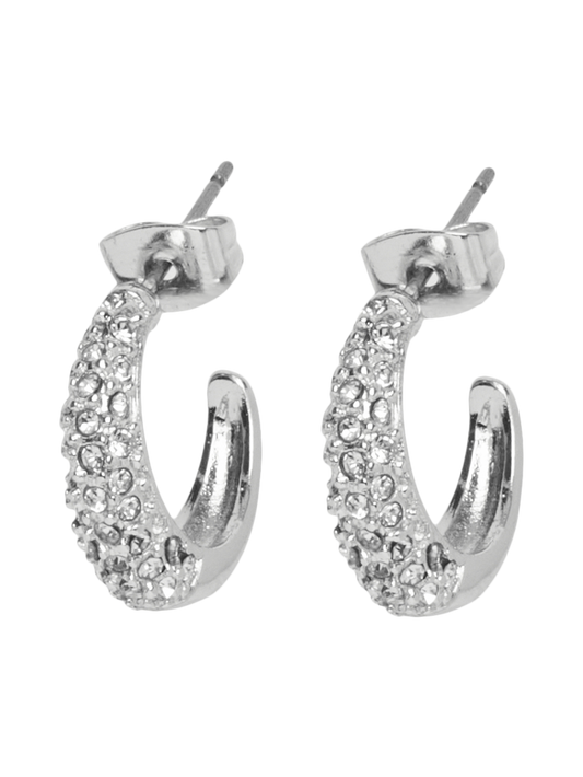 FPFIGINA Earrings - Silver Colour